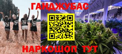 2c-b Камышлов