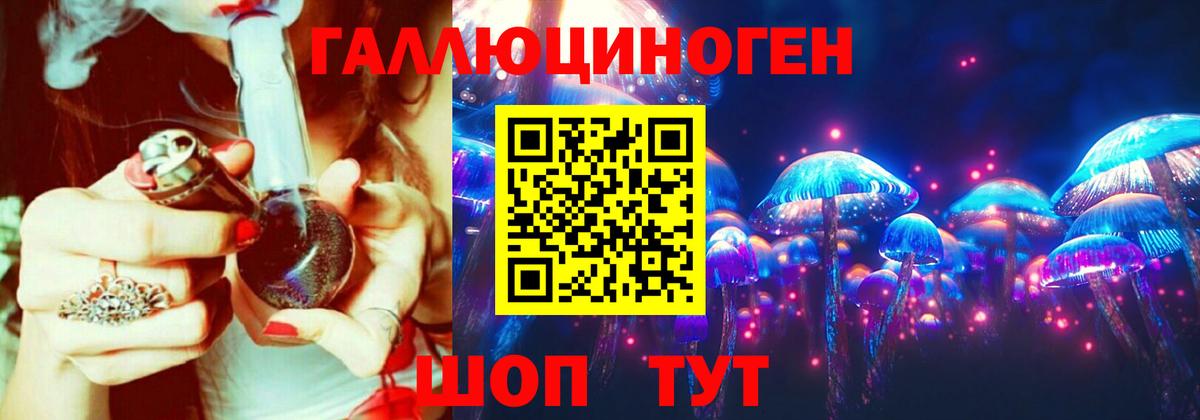 Галлюциногенные грибы Psilocybine cubensis Дивногорск